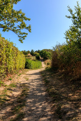 Wanderweg in Thiessow auf der Insel R&uuml;gen