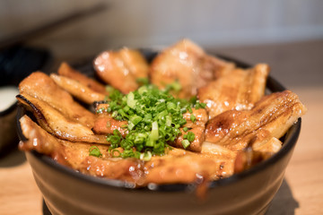 Teriyaki pork rice bowl, butadon, Japanese food