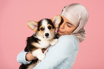 happy arabic girl in hijab holding cute corgi puppy, isolated on pink