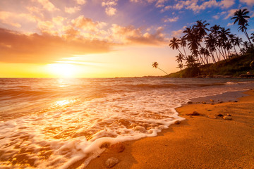 Romantic sunset on a tropical beach with palm trees