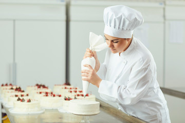 Confectioner decorating cake in pastry shop.