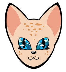 muzzle of a cat is a sphinx