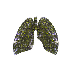 Branches with green leaves inscribed in the shape of the lungs. Green lungs of the earth.