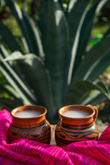 Mexican fermented beverage called 