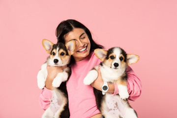 happy woman holding Welsh Corgi puppies, isolated on pink