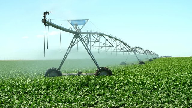 Center Pivot and Linear Irrigation equipment for farming, watering crops on a sunny summer day.