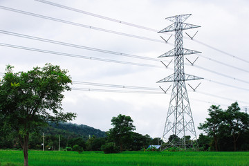Obraz premium High voltage tower. Electricity post. Electric post. High voltage lines and power pylons in rice field