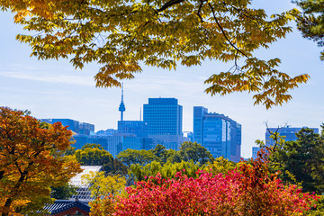Autumn in Seoul city of South Korea