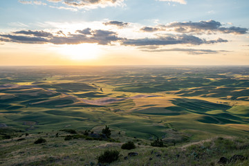 Beautiful sunset golden hour view of the Palouse as seen from Steptoe Butte State Park in Washington State USA
