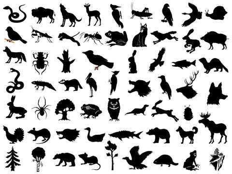 Big set of vector silhouettes of animals, plants and landscapes