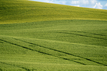 Fototapeta premium Plowed field in the Palouse of Washington State, with lines from the harvest in the field
