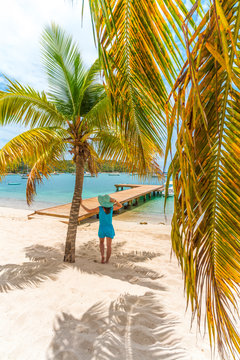 Woman leaning on a palm tree looks at Caribbean Sea