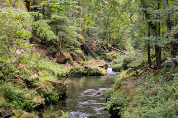 Naklejka na ściany i meble View from the wild Edmunds Gorge in Bohemian Switzerland near the town of Decin, Czech Republic