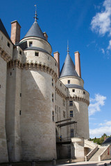 Fototapeta na wymiar Le château de Langeais