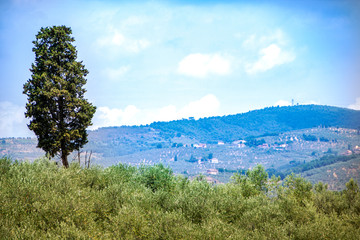 tuscan landscape in summer