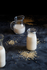 Vegan rice milk, non dairy alternative milk