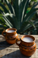 Mexican fermented beverage called 