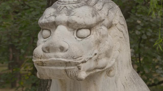 A daylight extreme closeup shot of the head of a Chinese imperial guardian lion sculpture ornamentation made of stone placed in a background of leaves.