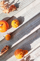 Flat lay, top view of orange pumpkin and dry Autumn leaves with copy-space