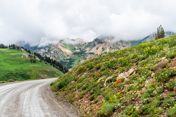 Albion Basin, Utah summer dirt road view for shuttles and cars in 2019 in Wasatch mountains with clouds on stormy day and flowers