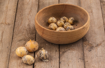 bulbs Allium Hollandicum on a table