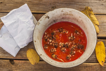 Treatment of crocus bulbs in fungicide