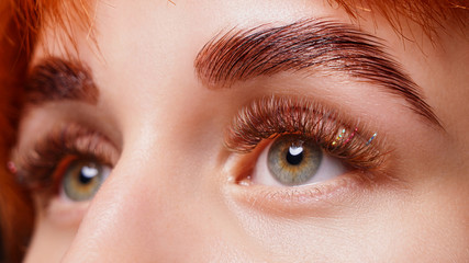 Beautiful macro photography of a woman's eye with extreme make-up of long eyelashes.