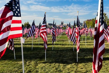 U. S. Flags on display at Healing Fields 911 Memorial