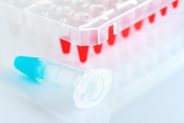 Plastic tube with blue DNA sample and red tubes with PCR reaction mixture