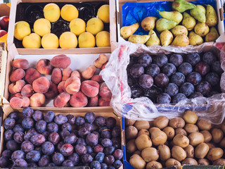 different fresh fruits in a grocery store