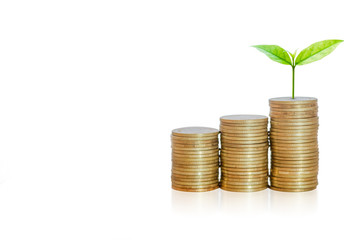 golden coins stack with green leaves growth up on top coin on white background. financial and saving concept. ESG Environmental Social Governance.