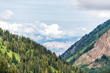 Albion Basin, Utah summer with Cottonwood Canyon valley view from Alta and clouds