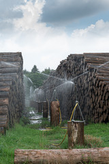 Holzlager