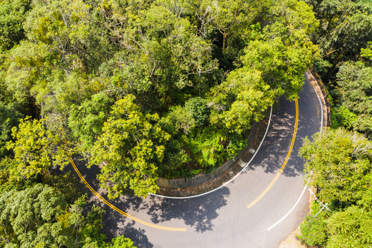 aerial view of road in forest at Sun Moon Lake © ChenPG