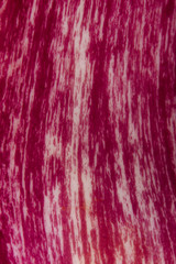 Blurred red background texture. Colorful wall background, blurred image. Burgundy color background, Abstract red textures background. eggplant pattern.