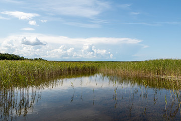 View to the lake Kanieris (Kaņieris) from wooden boardwalk in Latvia in summer day