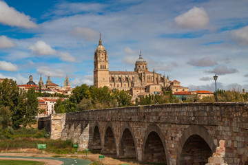Fototapeta na wymiar Puente Romano (The Roman Bridge), a historical landmark in Salamanca, Spain.