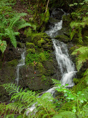 Beautiful South Wales Melincourt Falls Waterfall Rocks Wet