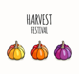 Harvest festival pumpkins