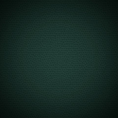 green leather background vector