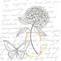 Hydrangea graphic illustration in vintage style. Flowers drawing and sketch with line-art on white backgrounds. Botanical plant illustration. Handwritten abstract text