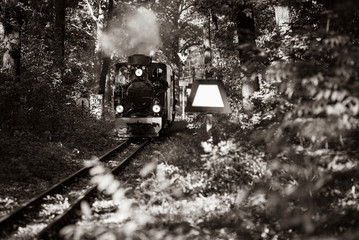 Small Steam Locomotive in forest, narrow gauge railway in forest, small german steam locomotive, Black and White waggons