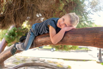 The boy lies on a thick branch of old tree like a cat