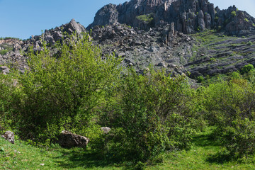 Hiking pathway- journey through roads, mystical nature