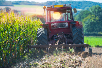 Obraz premium tracteur et sa remorque pour labourer les champs dans un joli paysage