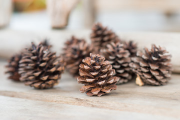 pine cone on wooden background and copy space for your design	