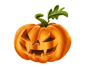 Halloween Pumpkin isolated on white background. Hand draw digital illustration.