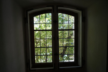Windows photographed from the inside have always served people useful to bring light and fresh air inside the building