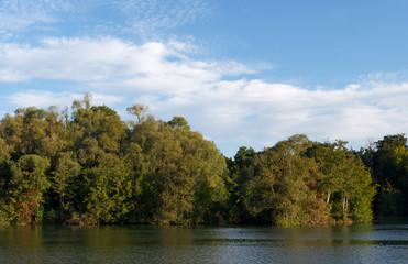 Fototapeta premium Seine river bank in la Bassée National nature reserve