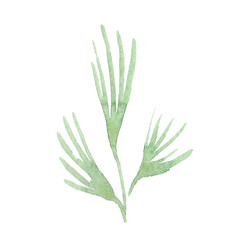 Green leaves floral botanical flower. Watercolor background illustration set. Isolated leaf illustration element.